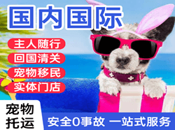 泉州机场邮寄国际宠物托运 【国